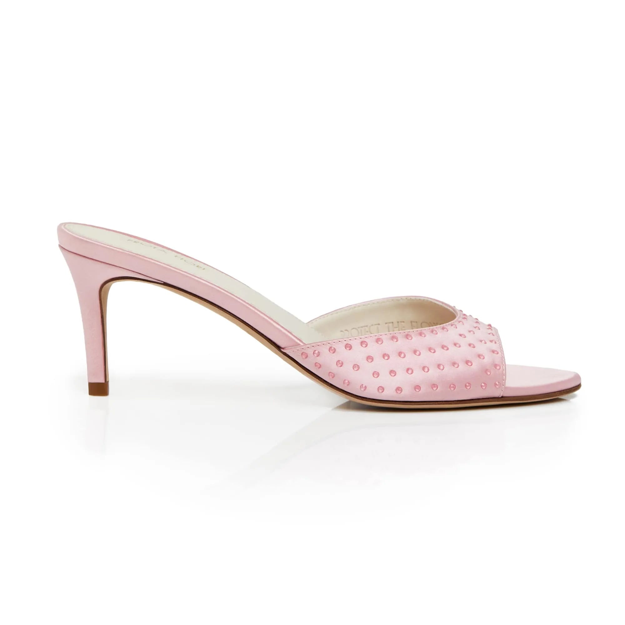 Plumeria mule in rose